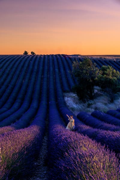 Maid in lavender field