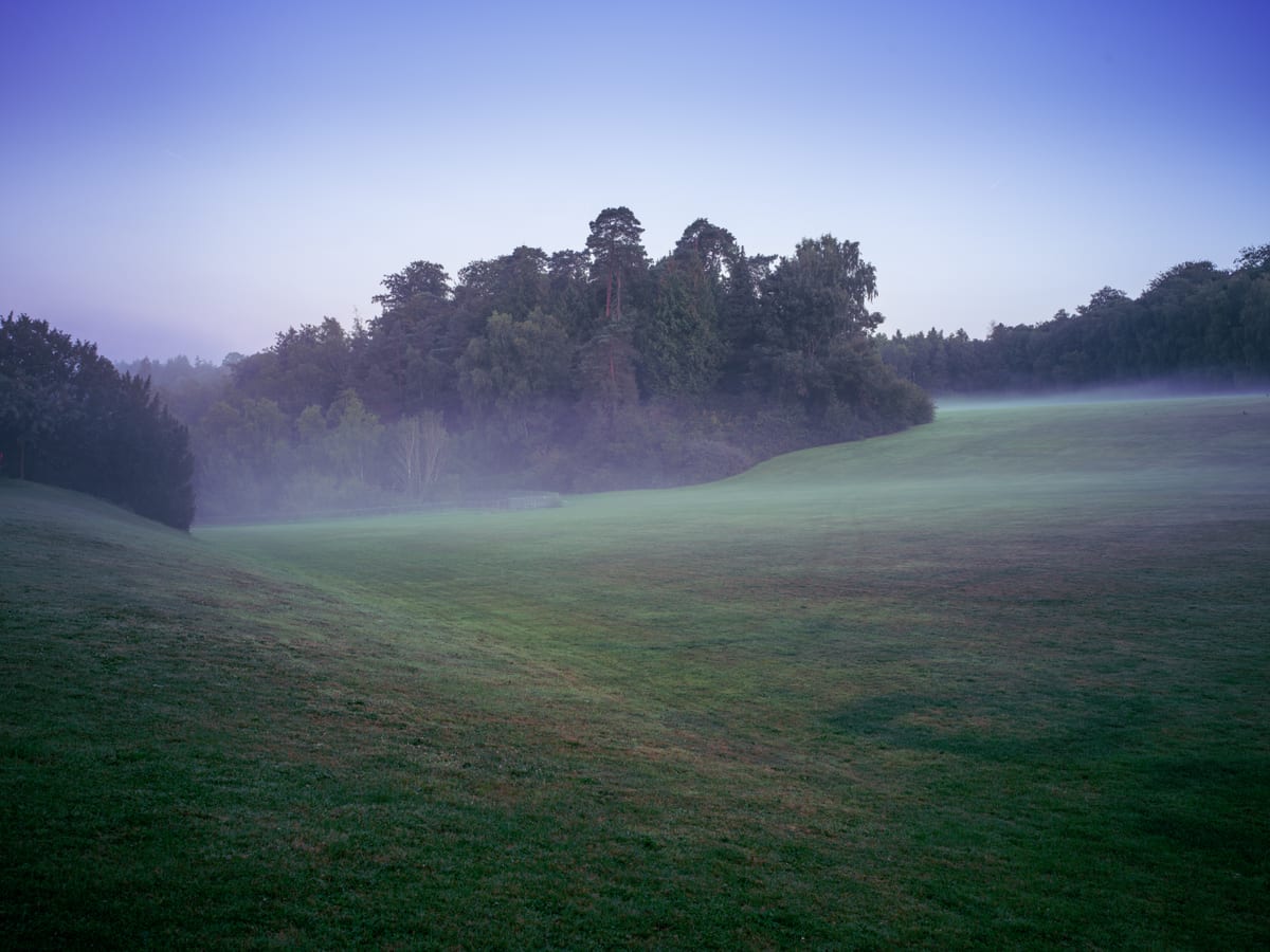A curved meadow at dawn with low mist lying against a dark treeline, the sky pale violet above.