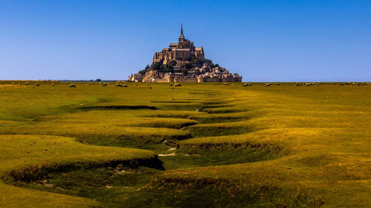 Mont Saint-Michel rising above green salt meadows grazed by sheep, with a winding tidal channel cut into the grass in the foreground.